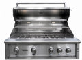 Rhino Reserve 42-inch 4 Burner Built-In Grill with Rear Burner